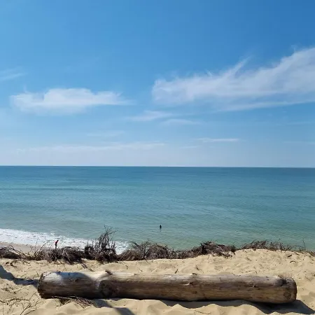 Superbe Au Coeur Du Cap-ferret Daire Lège-Cap-Ferret