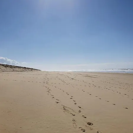 Apartment Superbe Au Coeur Du Cap-ferret *