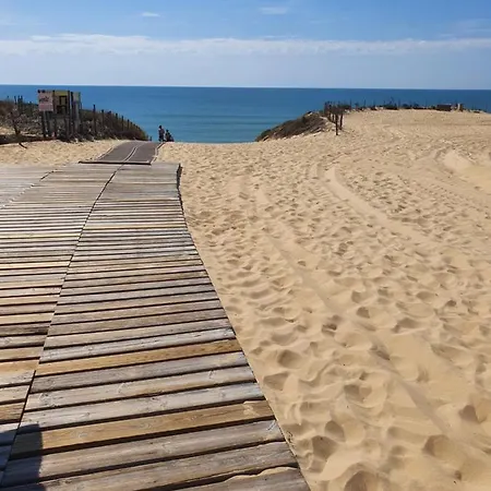 Apartment Superbe Au Coeur Du Cap-ferret Lege-Cap-Ferret