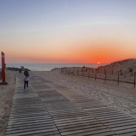 Apartment Superbe Au Coeur Du Cap-ferret